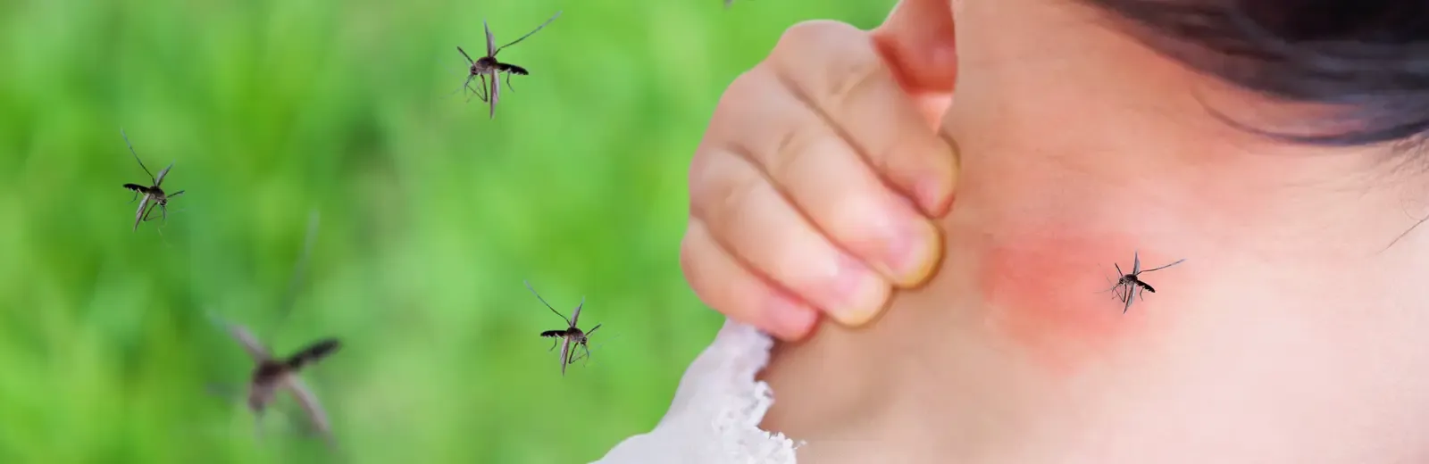 woman annoyed with mosquitoes